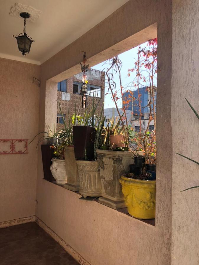 Hostel Jabuticaba Белу-Оризонти Экстерьер фото