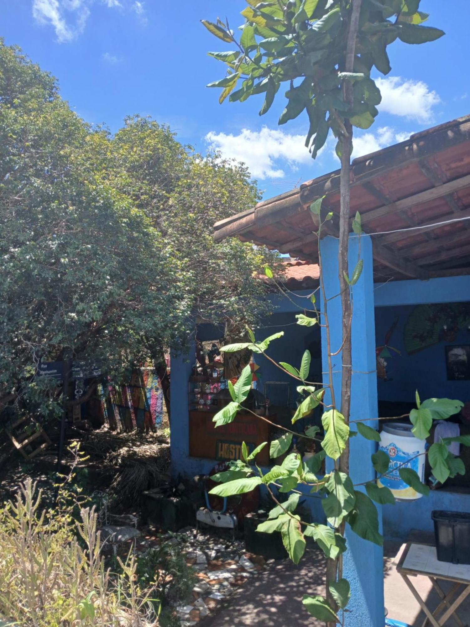 Hostel Jabuticaba Белу-Оризонти Экстерьер фото